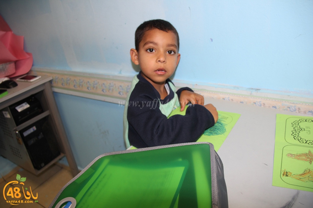 tolab marjkarz yaffa (18).JPG